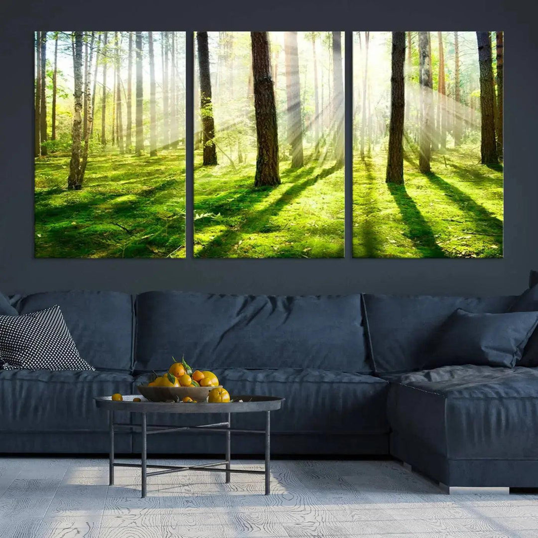 Sunlight Beams in Green Forest Large Wall Art Landscape Canvas Print