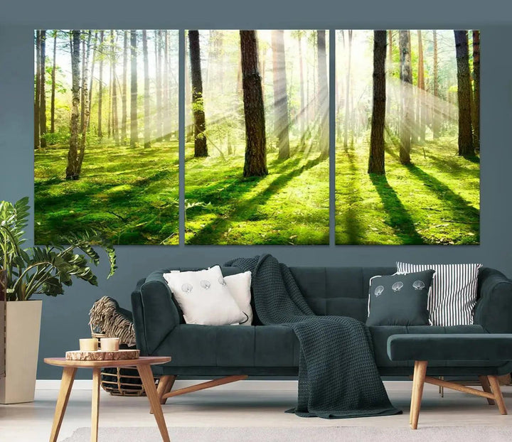 Sunlight Beams in Green Forest Large Wall Art Landscape Canvas Print