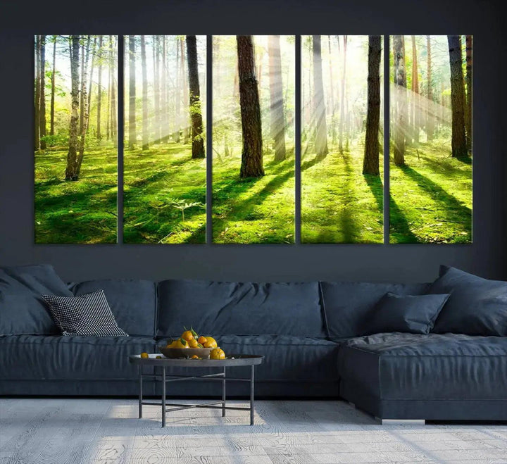 Sunlight Beams in Green Forest Large Wall Art Landscape Canvas Print