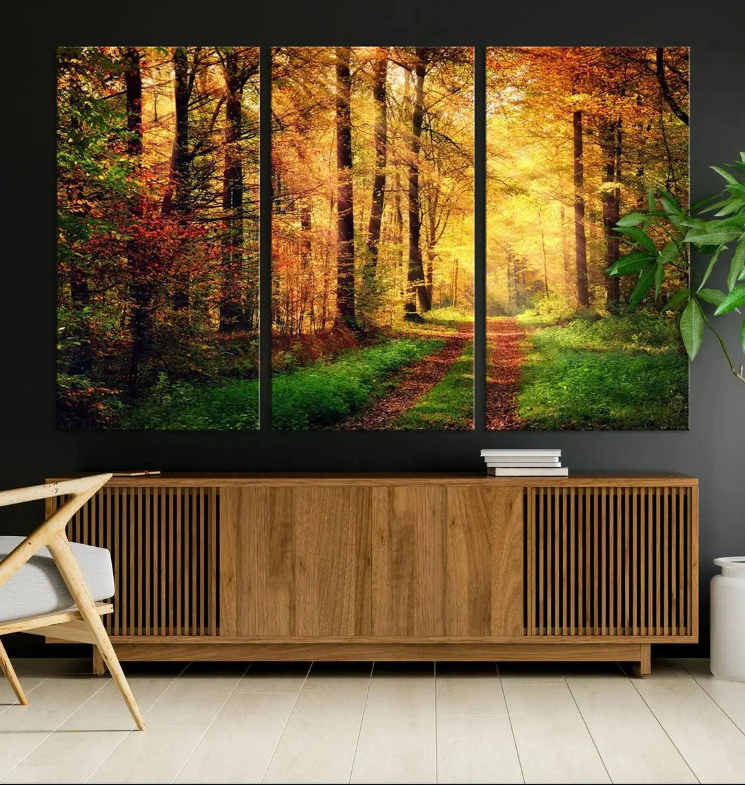 Sunshine Through Red Forest Canvas Print Large Artwork