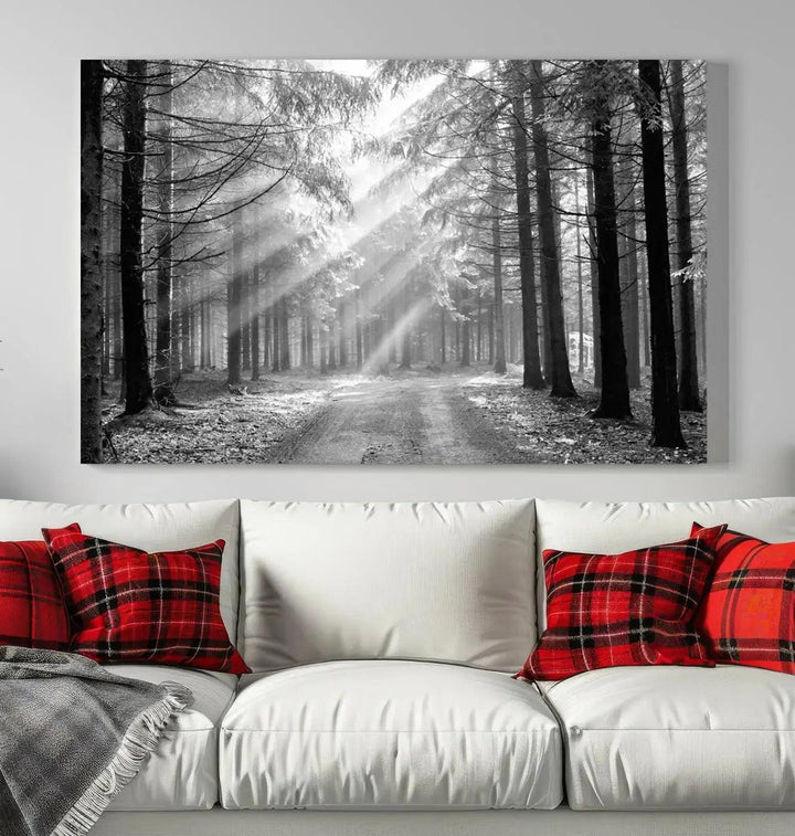 Sunshine in Forest Canvas Print Black and White Nature Wall Art Tree Artwork