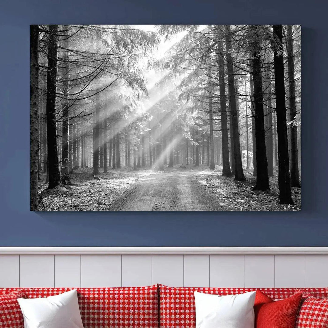 Sunshine in Forest Canvas Print Black and White Nature Wall Art Tree Artwork