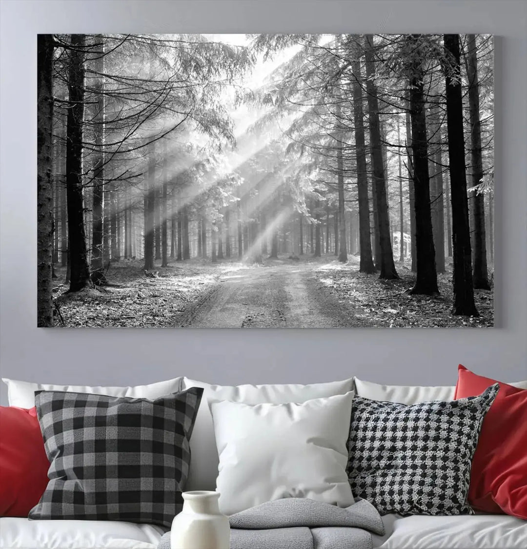 Sunshine in Forest Canvas Print Black and White Nature Wall Art Tree Artwork