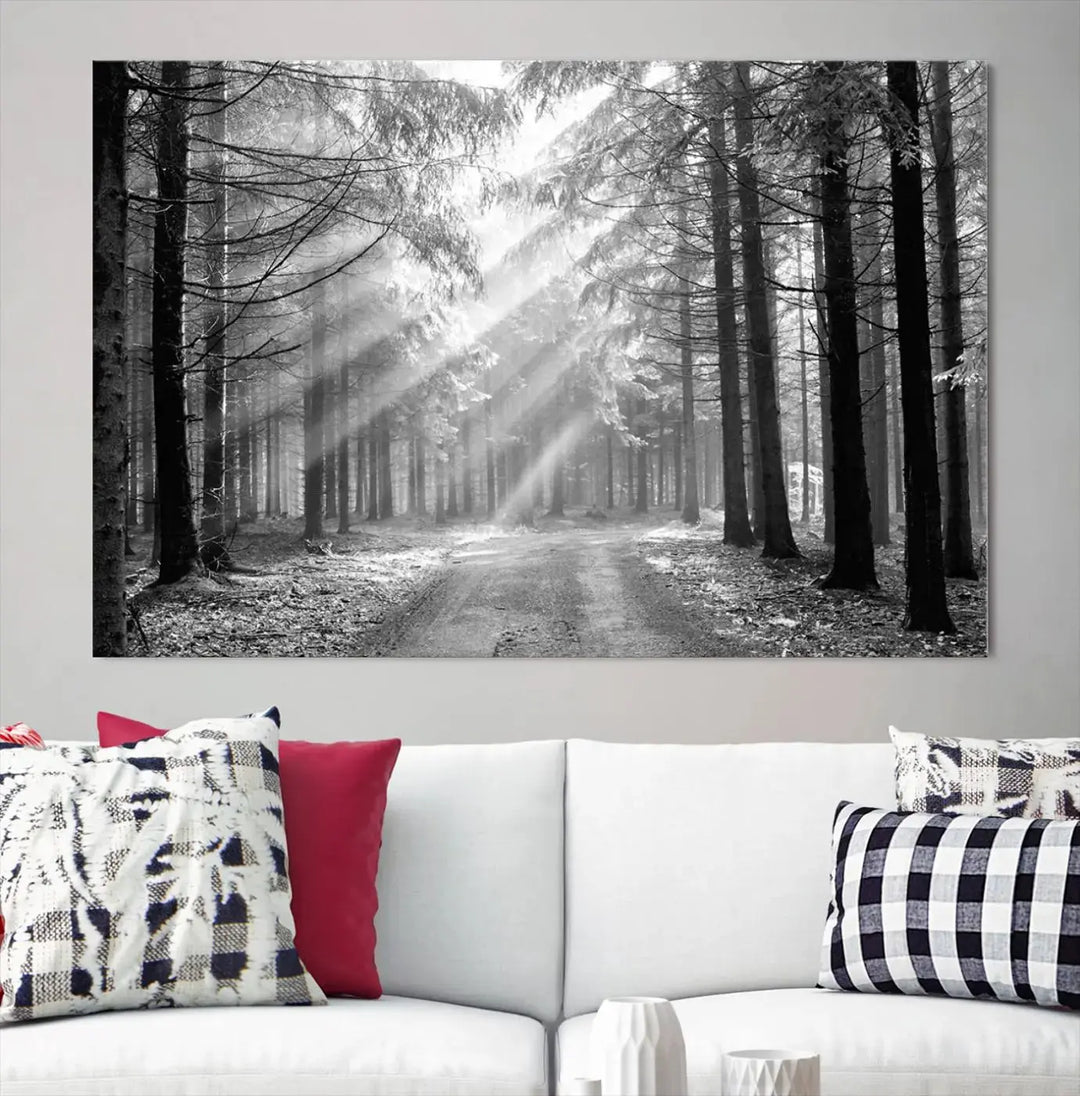 Sunshine in Forest Canvas Print Black and White Nature Wall Art Tree Artwork