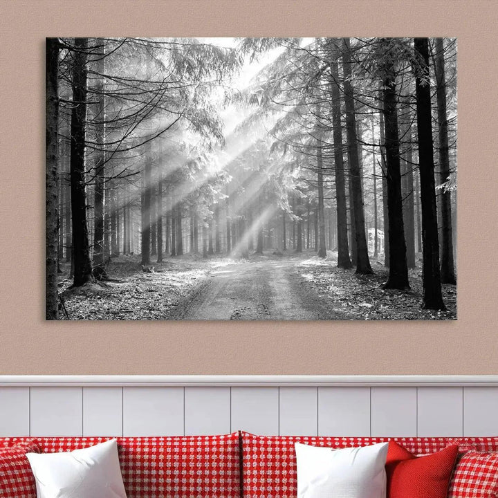 Sunshine in Forest Canvas Print Black and White Nature Wall Art Tree Artwork