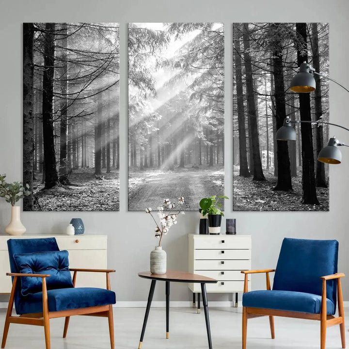 Sunshine in Forest Canvas Print Black and White Nature Wall Art Tree Artwork