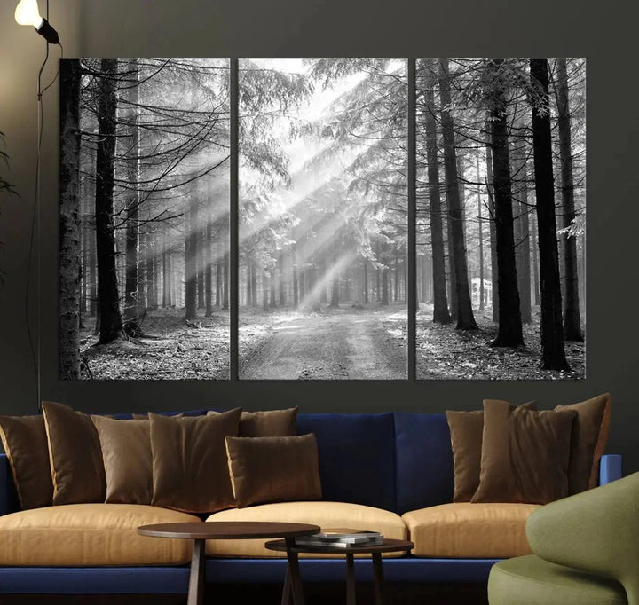 Sunshine in Forest Canvas Print Black and White Nature Wall Art Tree Artwork