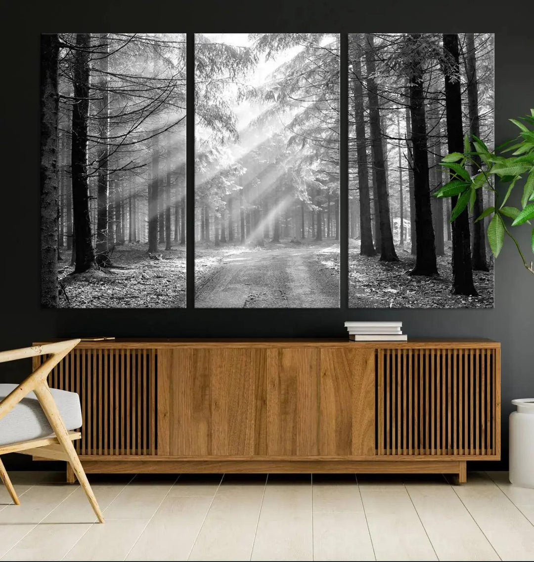 Sunshine in Forest Canvas Print Black and White Nature Wall Art Tree Artwork