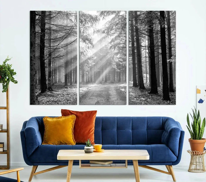 Sunshine in Forest Canvas Print Black and White Nature Wall Art Tree Artwork