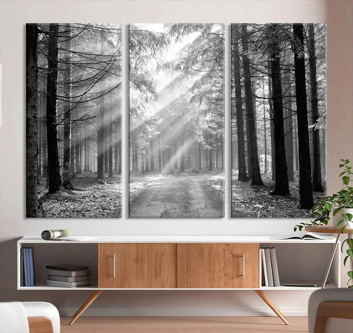 Sunshine in Forest Canvas Print Black and White Nature Wall Art Tree Artwork