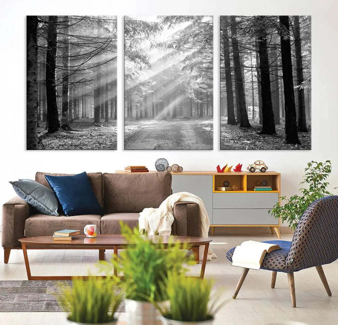 Sunshine in Forest Canvas Print Black and White Nature Wall Art Tree Artwork