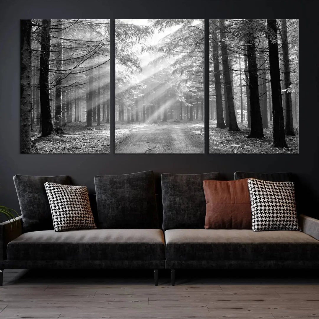 Sunshine in Forest Canvas Print Black and White Nature Wall Art Tree Artwork