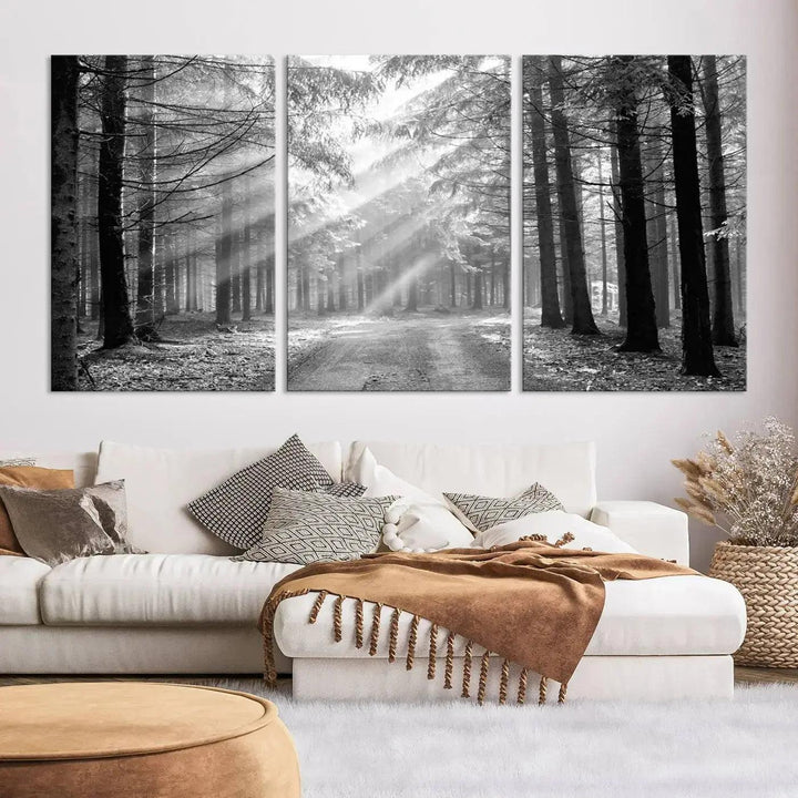 Sunshine in Forest Canvas Print Black and White Nature Wall Art Tree Artwork