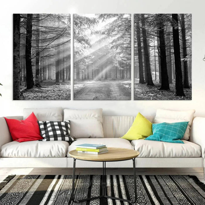 Sunshine in Forest Canvas Print Black and White Nature Wall Art Tree Artwork