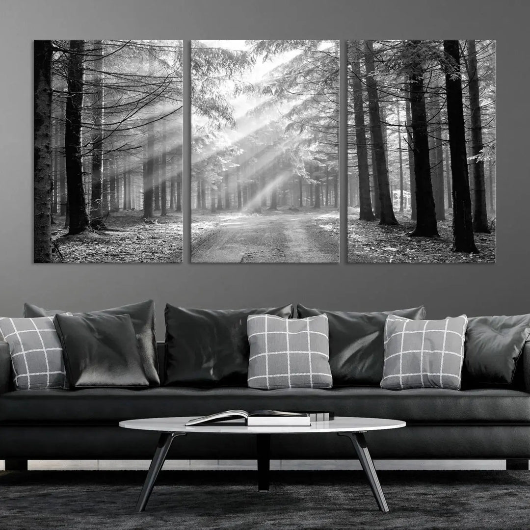 Sunshine in Forest Canvas Print Black and White Nature Wall Art Tree Artwork