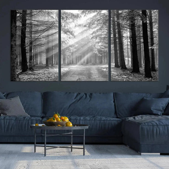 Sunshine in Forest Canvas Print Black and White Nature Wall Art Tree Artwork