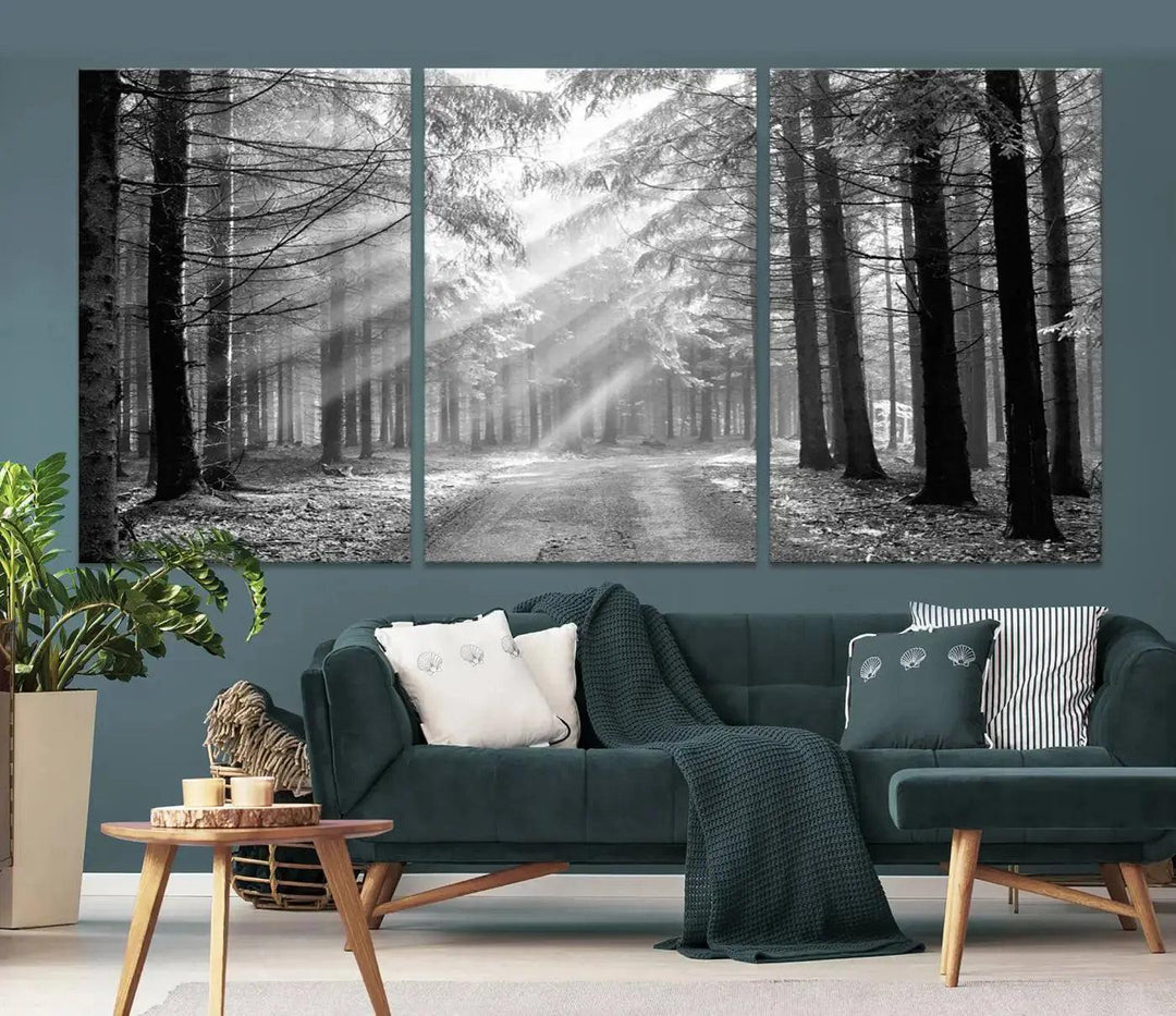 Sunshine in Forest Canvas Print Black and White Nature Wall Art Tree Artwork