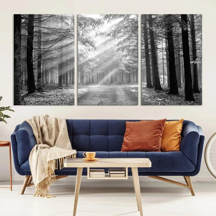 Sunshine in Forest Canvas Print Black and White Nature Wall Art Tree Artwork