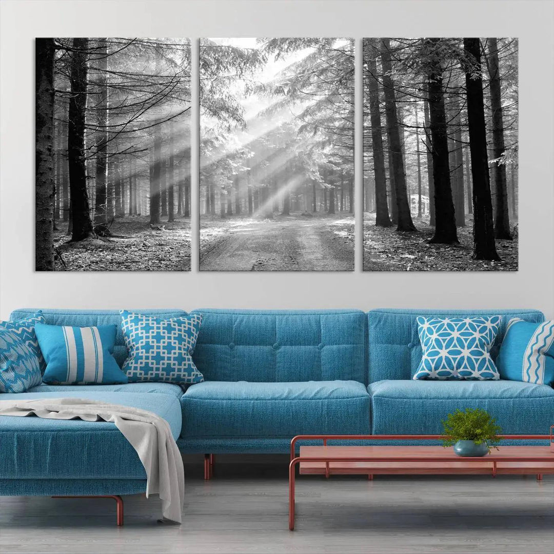 Sunshine in Forest Canvas Print Black and White Nature Wall Art Tree Artwork