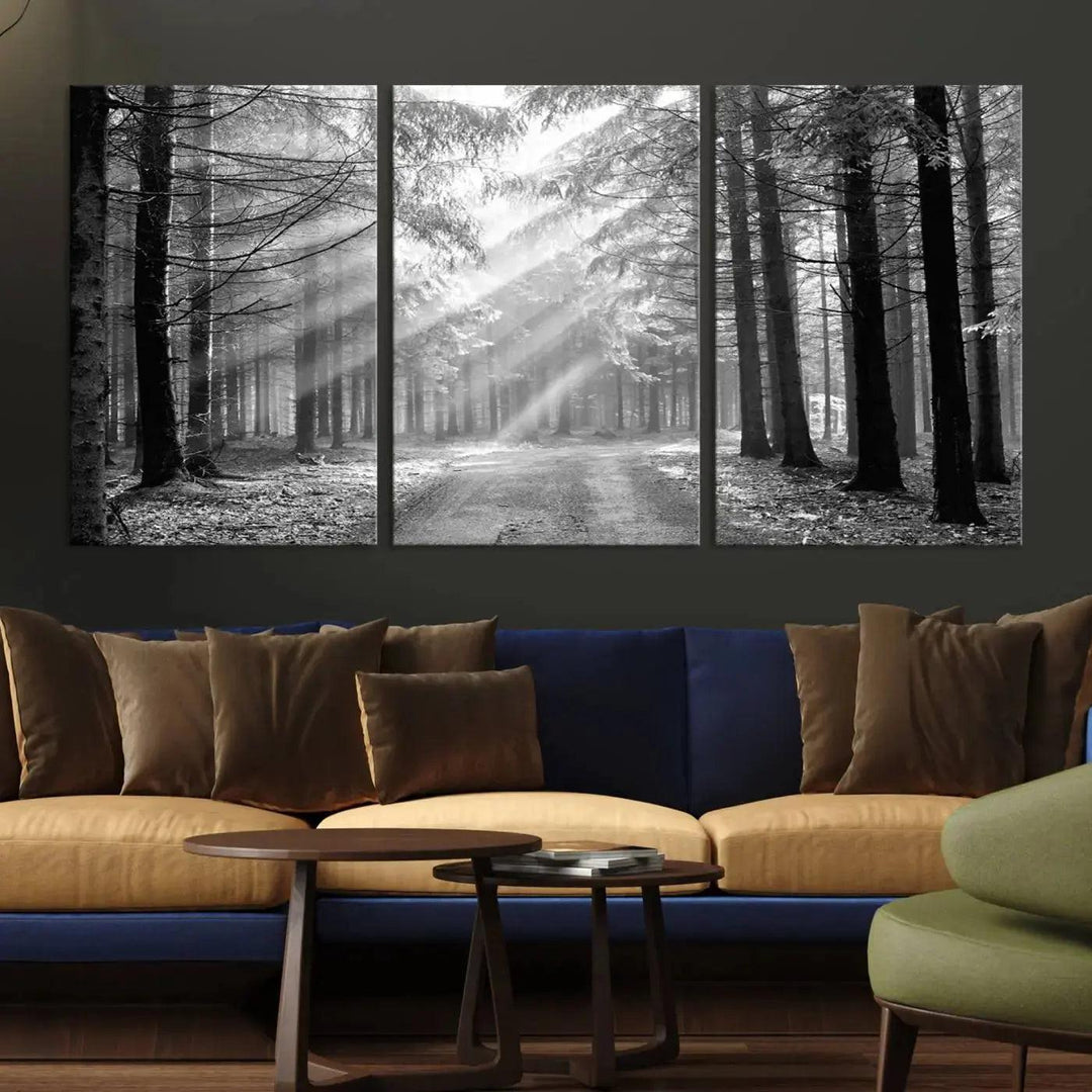 Sunshine in Forest Canvas Print Black and White Nature Wall Art Tree Artwork