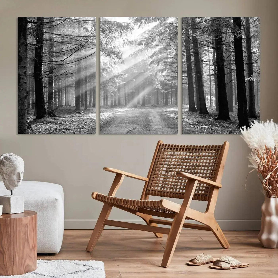 Sunshine in Forest Canvas Print Black and White Nature Wall Art Tree Artwork