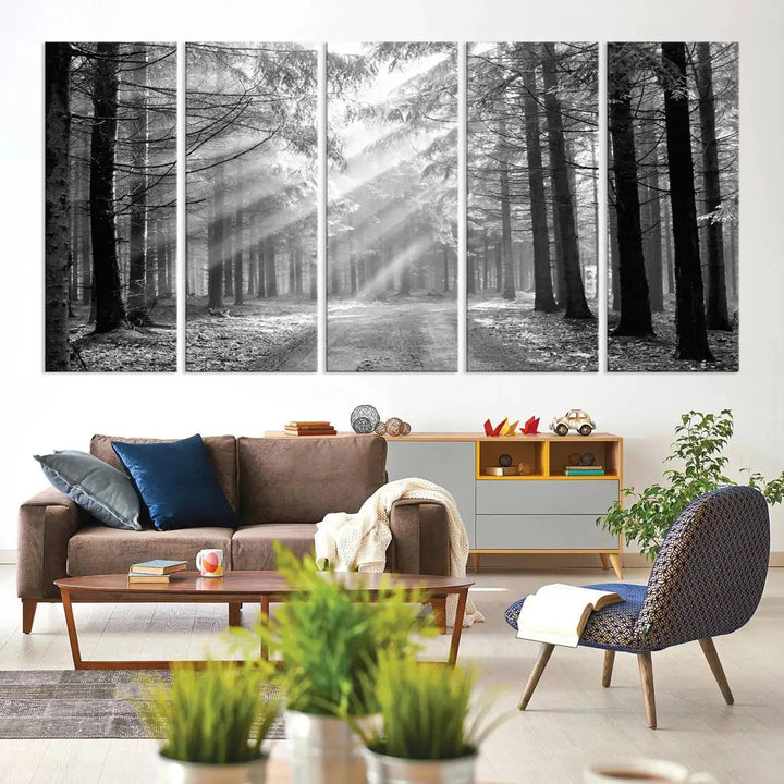 Sunshine in Forest Canvas Print Black and White Nature Wall Art Tree Artwork