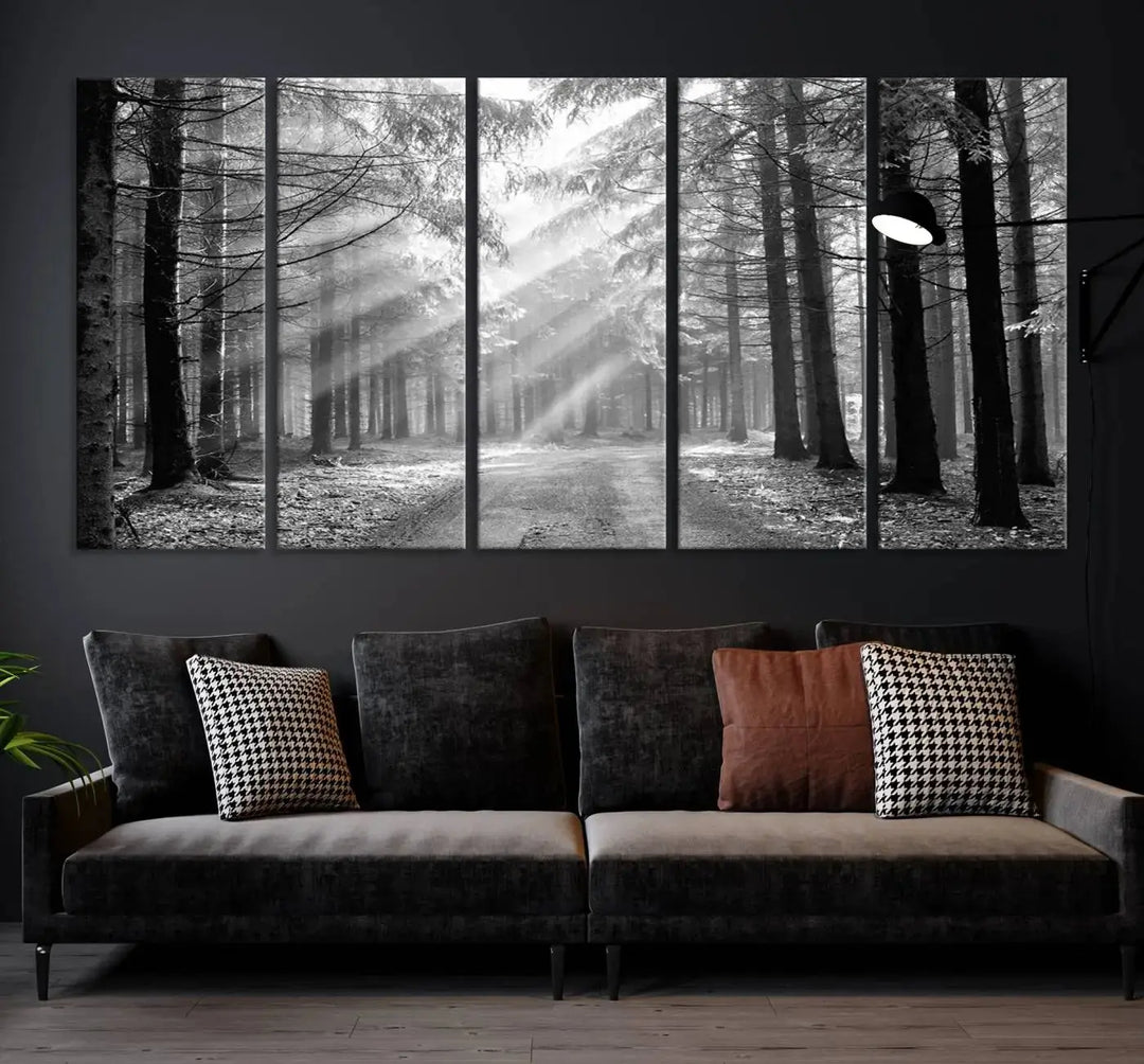 Sunshine in Forest Canvas Print Black and White Nature Wall Art Tree Artwork