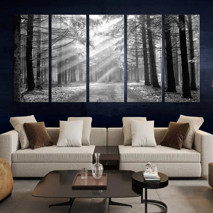 Sunshine in Forest Canvas Print Black and White Nature Wall Art Tree Artwork