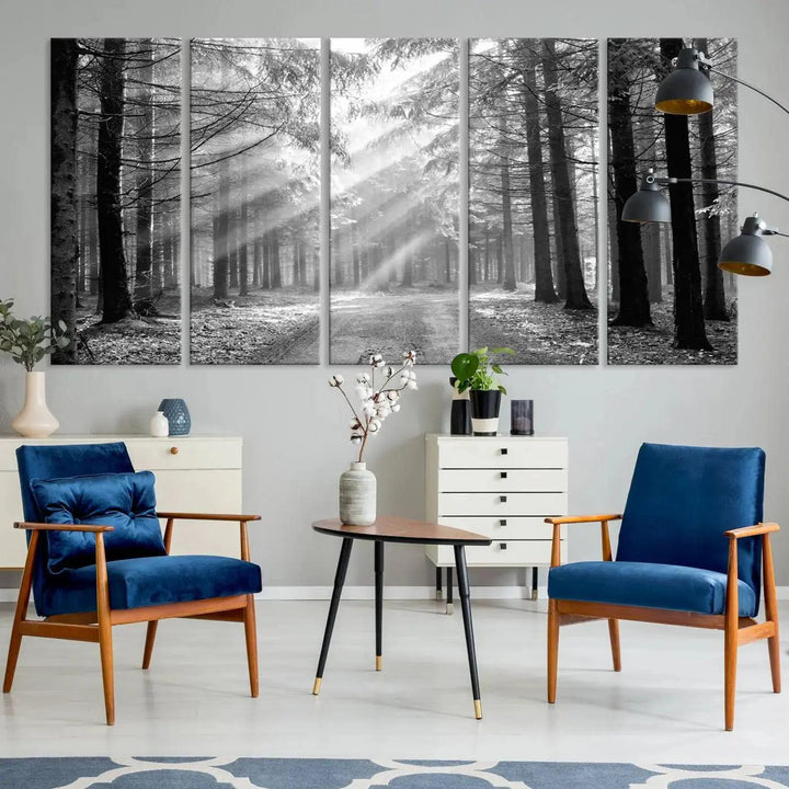 Sunshine in Forest Canvas Print Black and White Nature Wall Art Tree Artwork