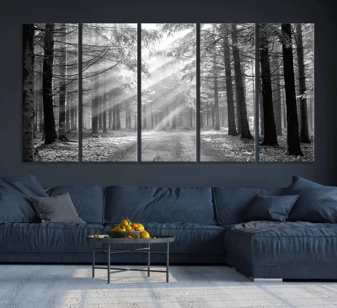 Sunshine in Forest Canvas Print Black and White Nature Wall Art Tree Artwork