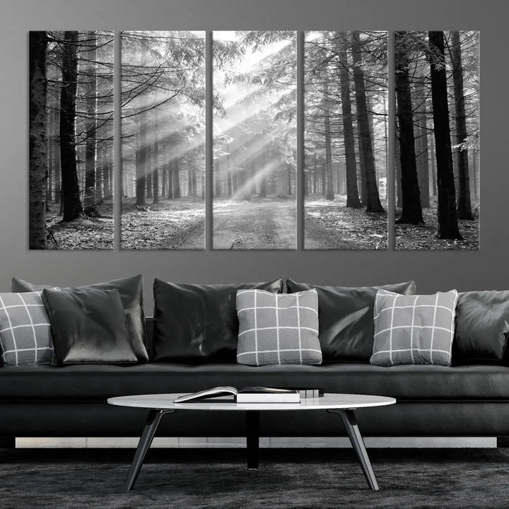 Sunshine in Forest Canvas Print Black and White Nature Wall Art Tree Artwork