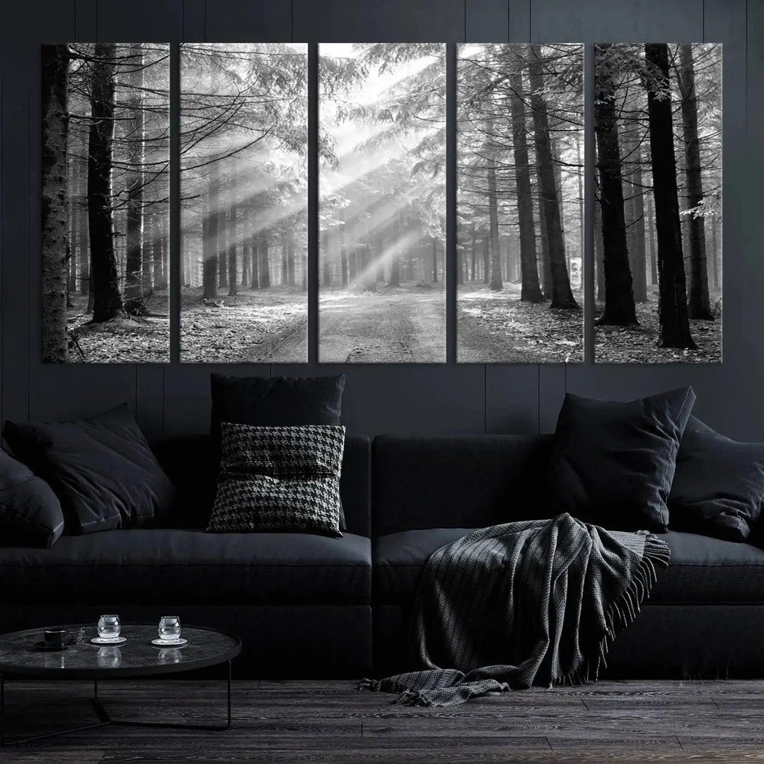 Sunshine in Forest Canvas Print Black and White Nature Wall Art Tree Artwork