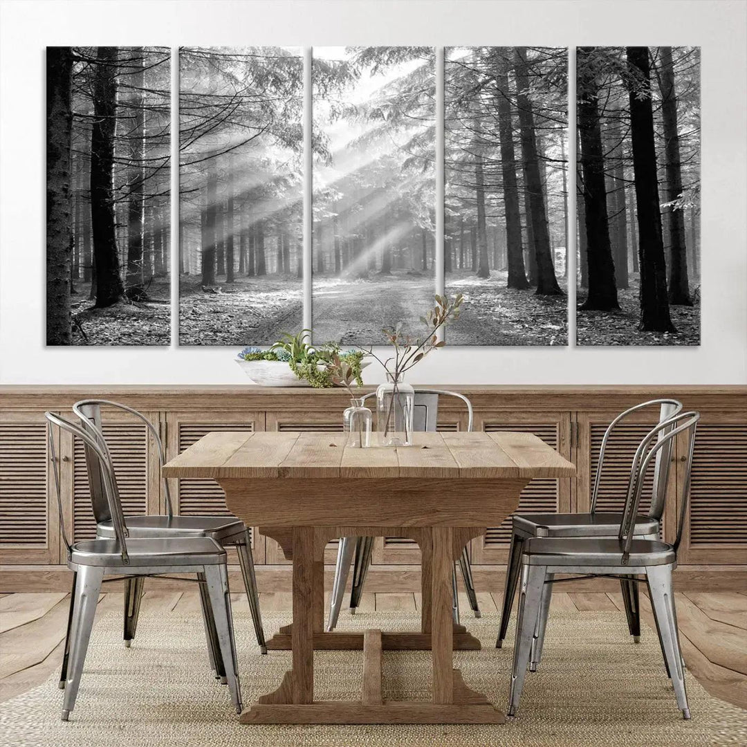 Sunshine in Forest Canvas Print Black and White Nature Wall Art Tree Artwork