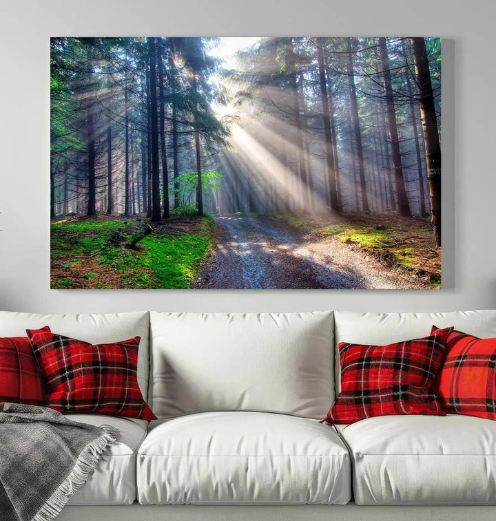 Sunshine in Forest Large Wall Art Spring Landscape Canvas Print Wall Decor