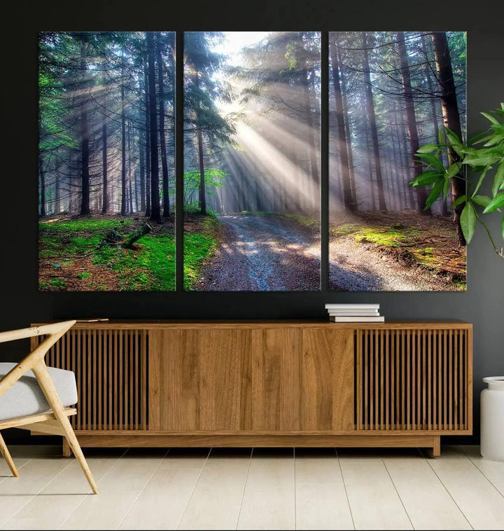 Sunshine in Forest Large Wall Art Spring Landscape Canvas Print Wall Decor