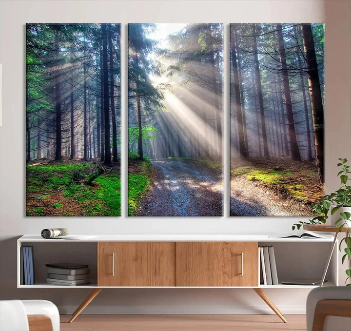 Sunshine in Forest Large Wall Art Spring Landscape Canvas Print Wall Decor