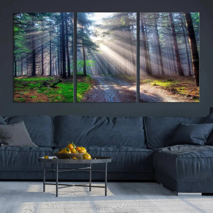 Sunshine in Forest Large Wall Art Spring Landscape Canvas Print Wall Decor