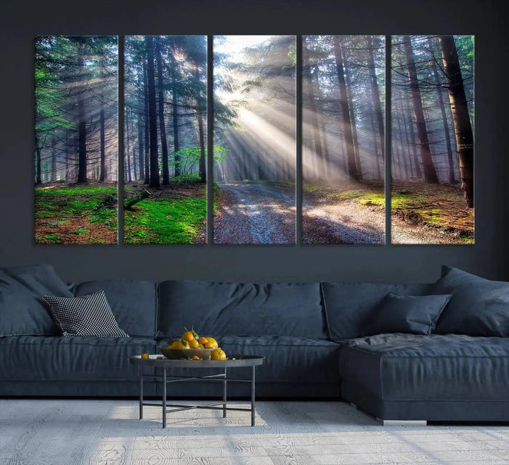 Sunshine in Forest Large Wall Art Spring Landscape Canvas Print Wall Decor