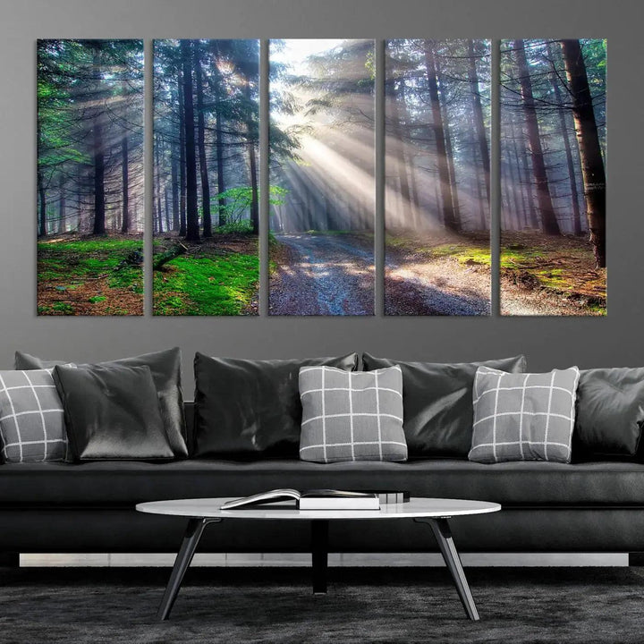 Sunshine in Forest Large Wall Art Spring Landscape Canvas Print Wall Decor