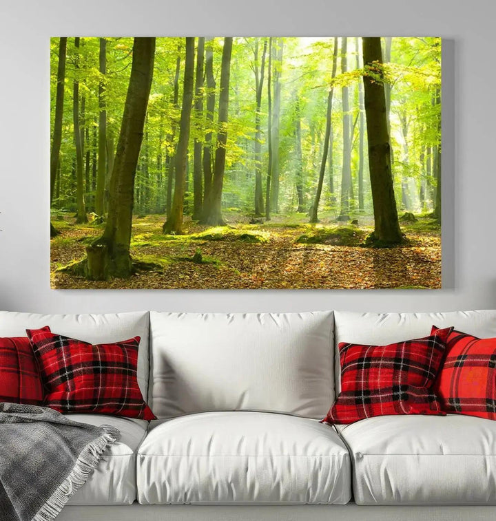 Sunshine in Green Forest Large Wall Art Landscape Canvas Print