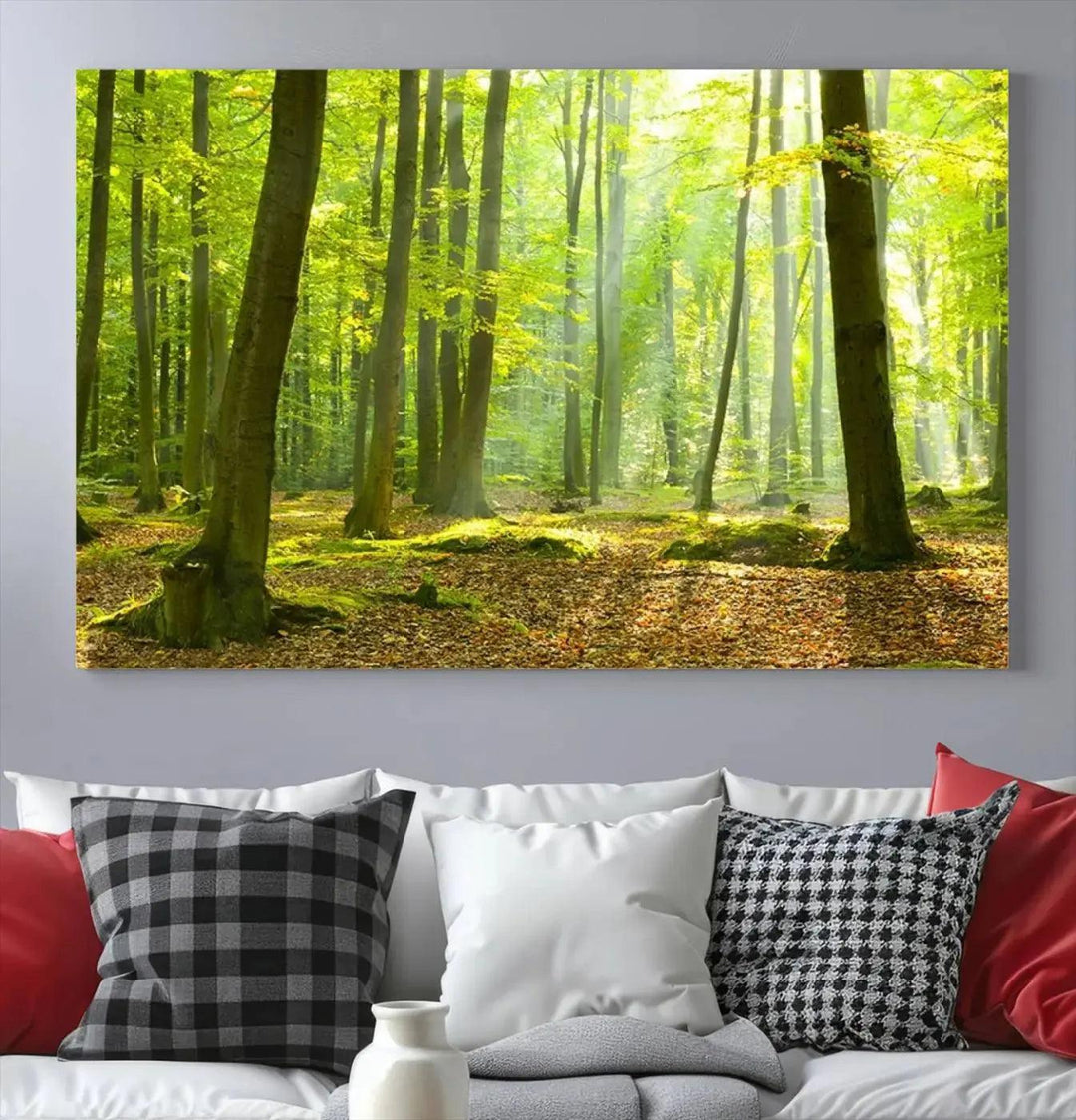 Sunshine in Green Forest Large Wall Art Landscape Canvas Print