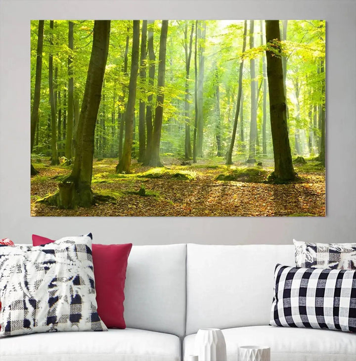 Sunshine in Green Forest Large Wall Art Landscape Canvas Print