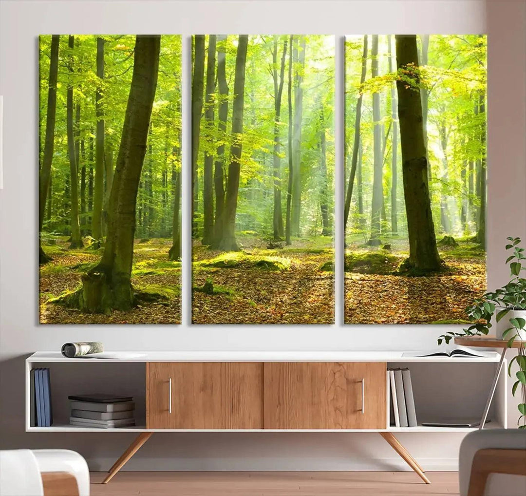 Sunshine in Green Forest Large Wall Art Landscape Canvas Print