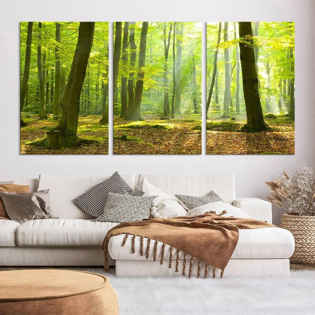 Sunshine in Green Forest Large Wall Art Landscape Canvas Print