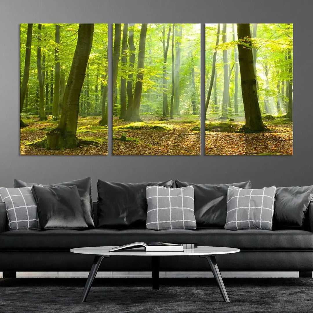 Sunshine in Green Forest Large Wall Art Landscape Canvas Print