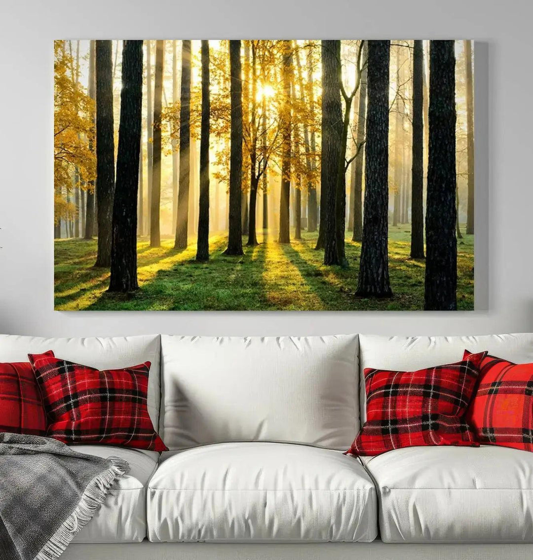 Tall Trees in Forest at Sunset Large Wall Art Landscape Canvas Print