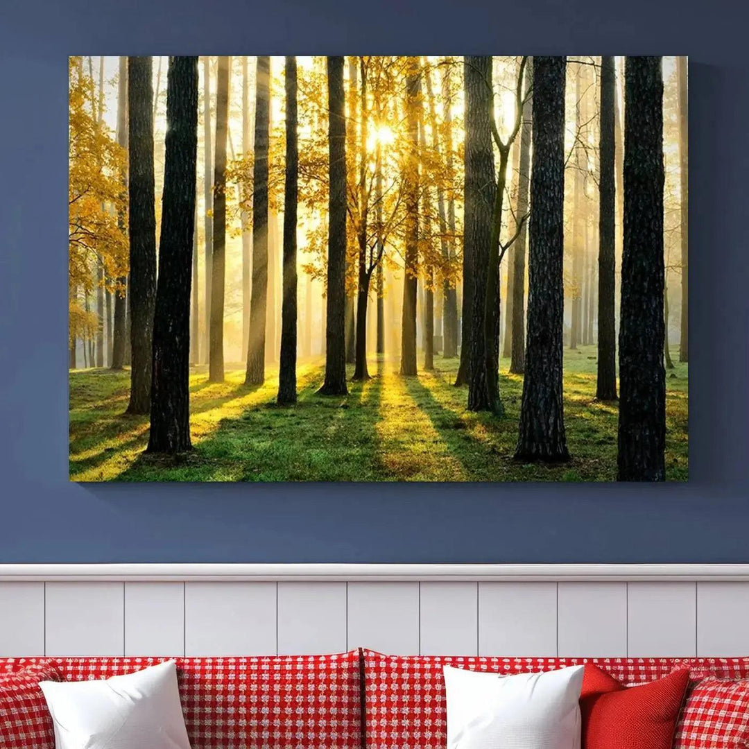 Tall Trees in Forest at Sunset Large Wall Art Landscape Canvas Print