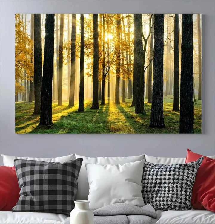 Tall Trees in Forest at Sunset Large Wall Art Landscape Canvas Print