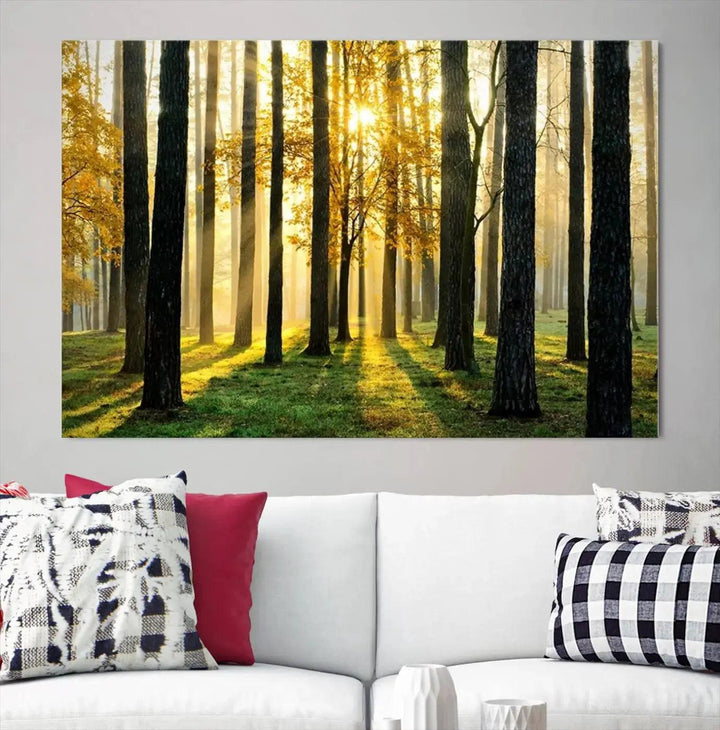 Tall Trees in Forest at Sunset Large Wall Art Landscape Canvas Print