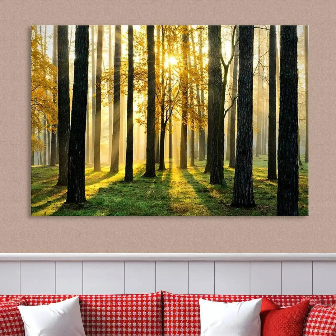 Tall Trees in Forest at Sunset Large Wall Art Landscape Canvas Print